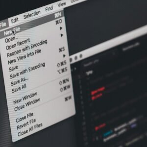 Deleted File Recovery